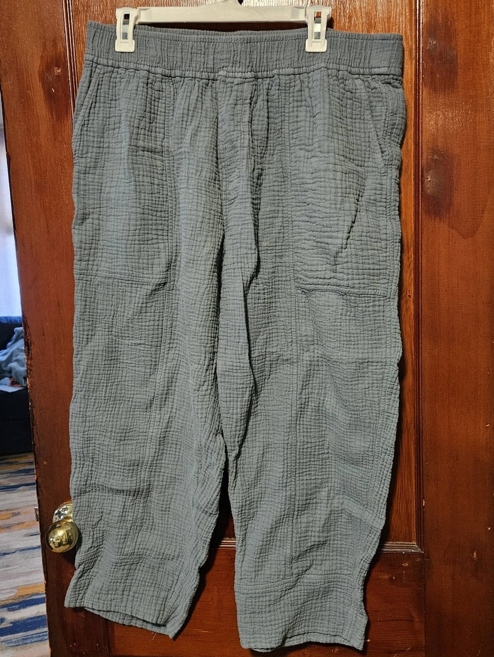Madewell Blue Double Gauze Pants 1X